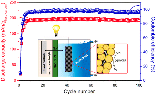 Could a seawater battery help end our dependence on lithium?