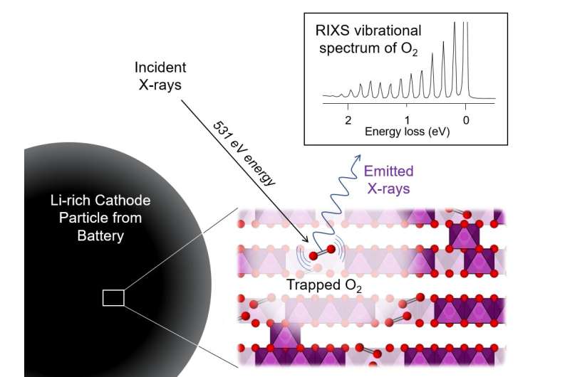 New discovery to have huge impact on development of future battery cathodes