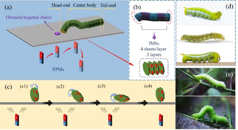 A worm-inspired robot based on an origami structure and magnetic actuators