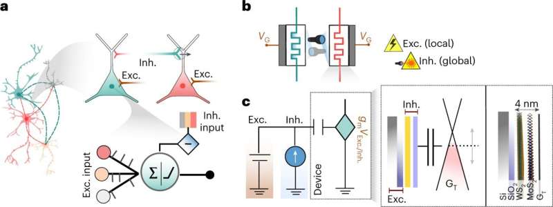 Artificial neurons mimic complex brain abilities for next-generation AI computing