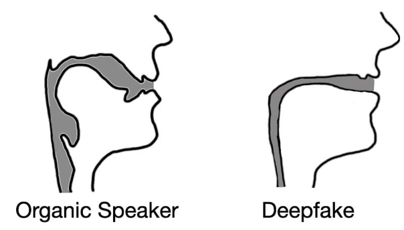 Deepfake audio has a tell—researchers use fluid dynamics to spot artificial imposter voices