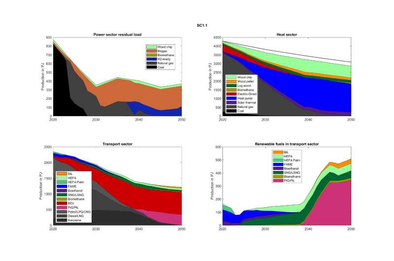 Researchers present modelling results of optimal biomass use in the energy transition