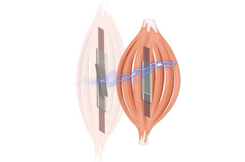 Revolutionary self-sensing electric artificial muscles