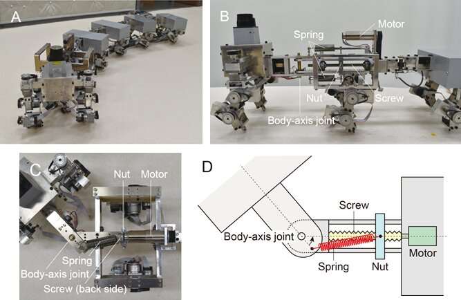 Robot centipedes go for a walk