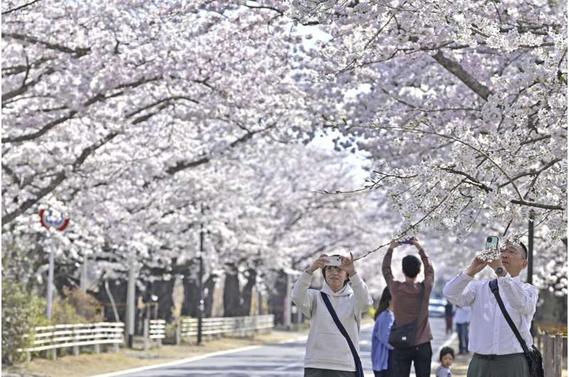 Small areas reopen near Fukushima nuclear plant, few return